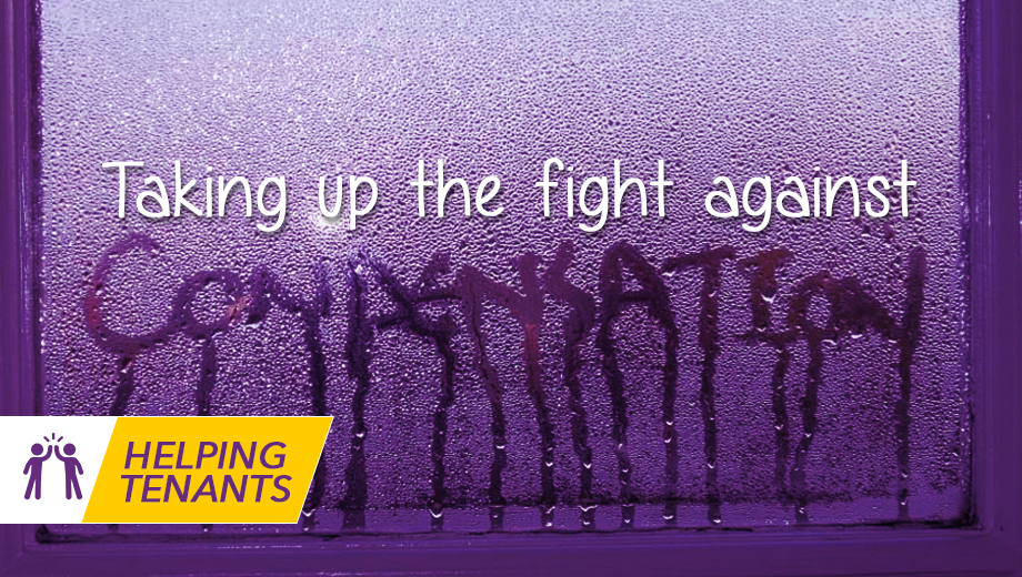 Taking up the fight against Condensation in your home